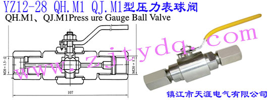 YZ12-28 QH.M1 QJ.M1�͉��������yYZ12-28 QH.M1 QJ.M1 Pressure Gauge Ball Valve